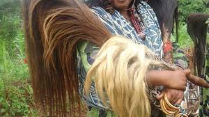 queue-de-cheval-baaretchamba