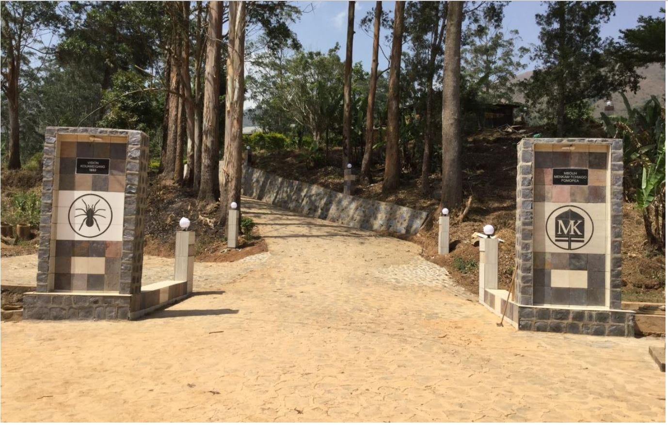 rapport-activites-2016